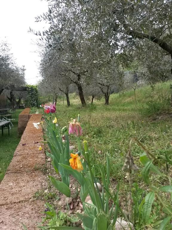 Agriturismo Camparella باسترينغو المظهر الخارجي الصورة
