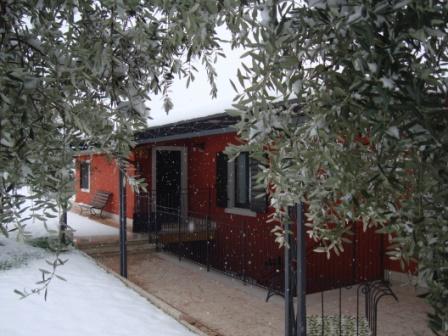 Agriturismo Camparella باسترينغو المظهر الخارجي الصورة