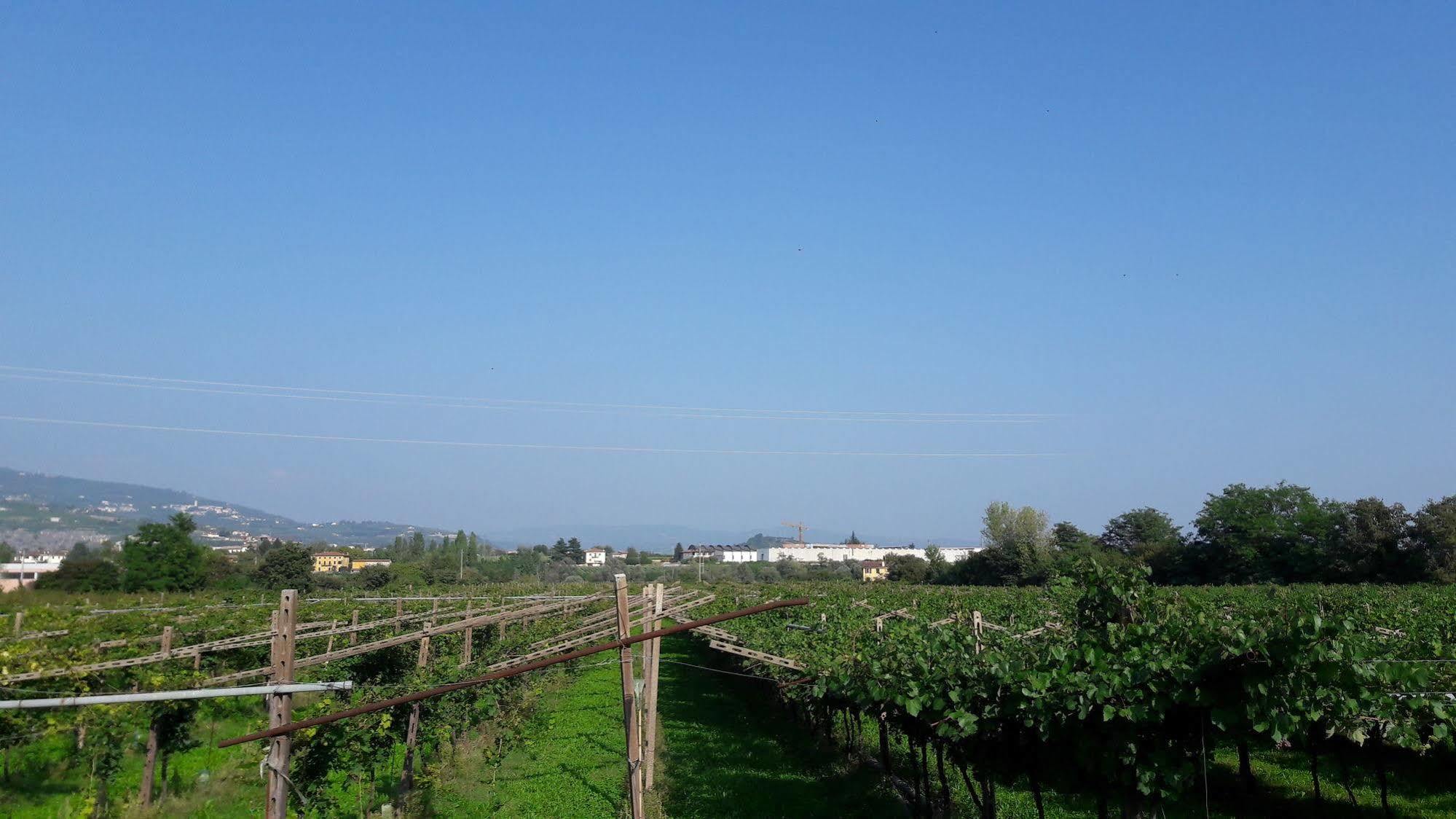 Agriturismo Camparella باسترينغو المظهر الخارجي الصورة